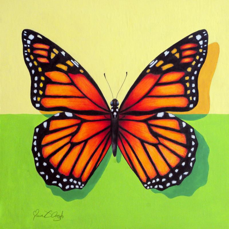 Monarch Butterfly