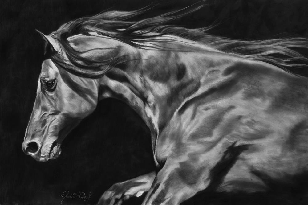 Spirit of the Mesa